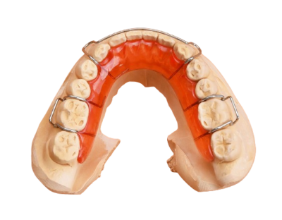 Hawley Orthodontic Retainer